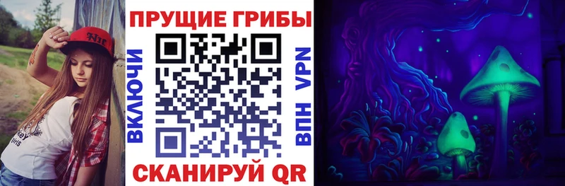 Купить  Дюртюли  Псилоцибиновые грибы Psilocybe 